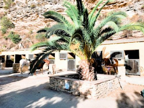 Hotel Rural Hacienda Puerto De Las Muelas