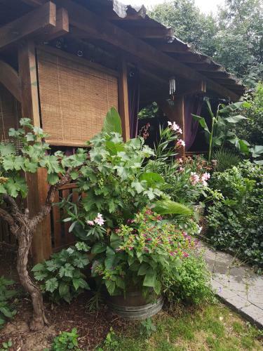 Hostal O'claire