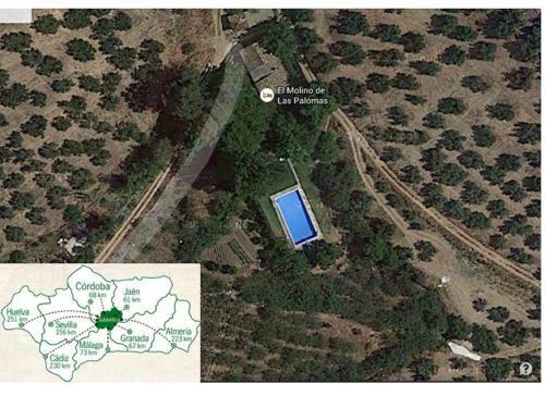 El Molino De Las Palomas