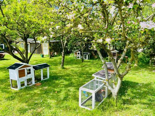Camping De Iepenhoeve