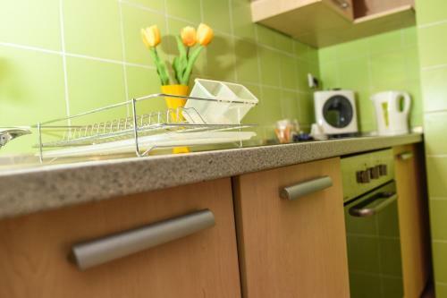 Victoria Apartment - Excellent Choice - Near Centar