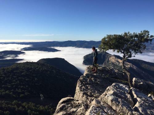 Apartamento Cinca Pirineo En A�nsa