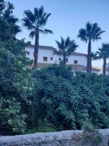 Apartamentos Vilo, Axarqu�a Rural