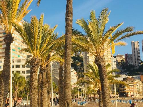 Apartamento Coraz�n De Monte Carlo