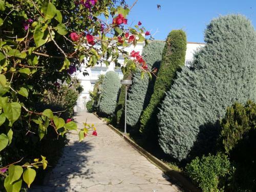 Apartamento Bravaholidays-26-lotus-2
