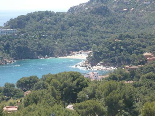 Apartamento Bravaholidays-26-lotus-2