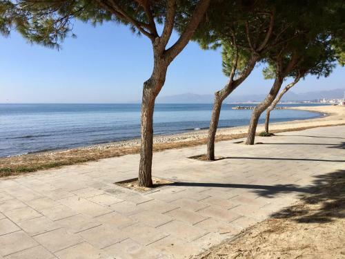 Apartamento Synergie Si27 - Roxamar