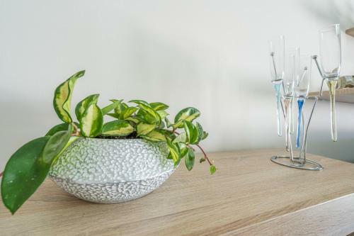 Apartamento Flowers Island House 3
