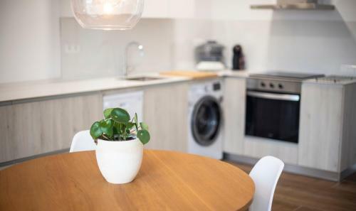 Th141 Apartamento Escorpi Con Terraza
