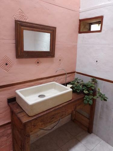 Posada La Condesa Hostel