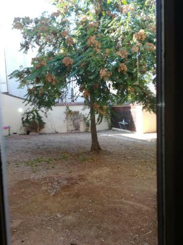 Albergue Convento S.francisco