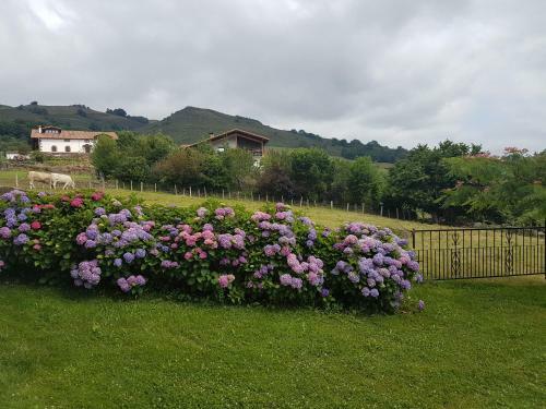 Casa Rural Petisansenea II
