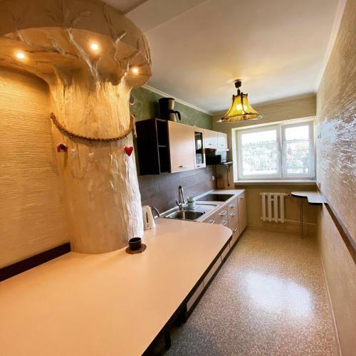 Apartament Nad Kamie?czykiem IV