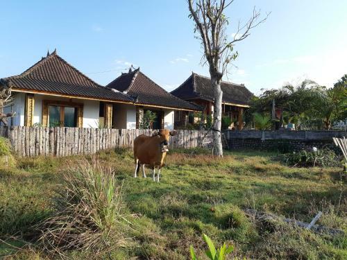 Posada Friend House & Stay