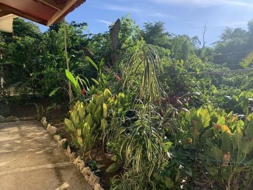 Bed & Breakfast Canjam Retreat
