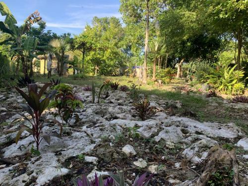 Bed & Breakfast Canjam Retreat