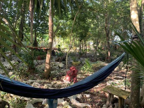 Bed & Breakfast Canjam Retreat