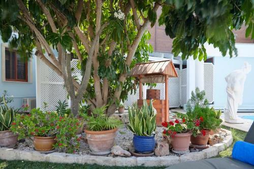 Limassol Beachfront Holiday Villa