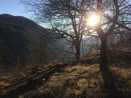 Bed & Breakfast Villa Portina