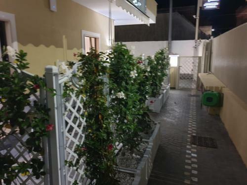 Apartamento Residenza Carlucci