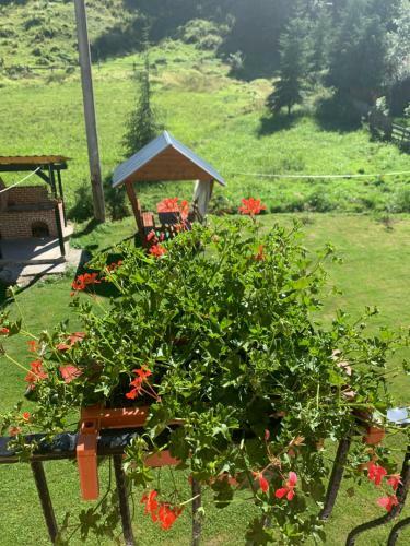 Hostal Casa Natalia Raisa Arie?eni
