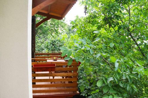 Apartamento Casa Vacanze Il Giardino - Appartamento Ciliegio