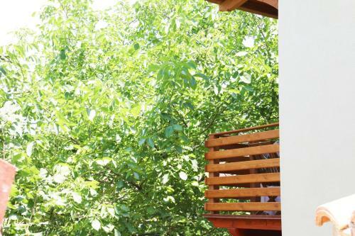 Apartamento Casa Vacanze Il Giardino - Appartamento Ciliegio