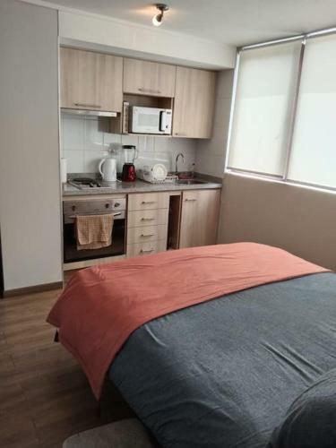 Apartamento Departamento Nuevo Tipo Estudio En Pleno Centro