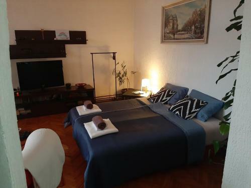 Oskar Apartman Negotin /oscar Apartment Negotin