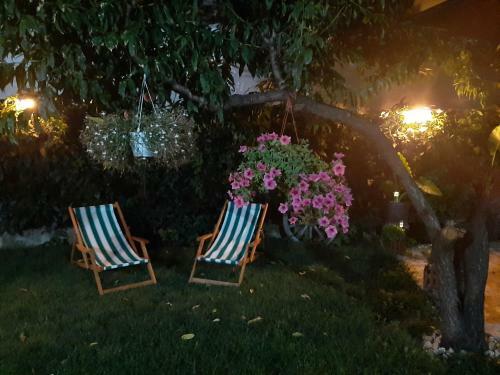 Oskar Apartman Negotin /oscar Apartment Negotin