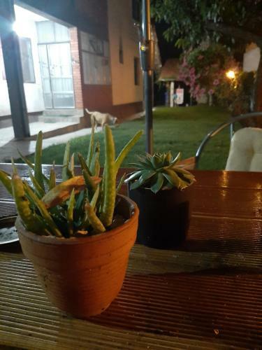 Oskar Apartman Negotin /oscar Apartment Negotin