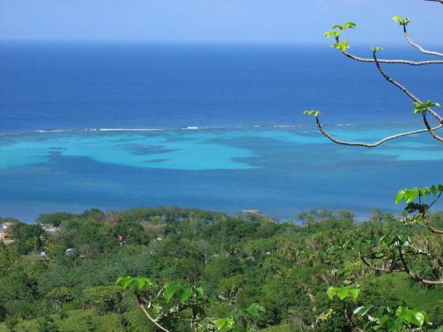 Roatan Bed & Breakfast Apartments