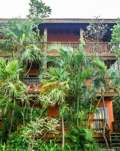 Hotel Posada Las Orquideas