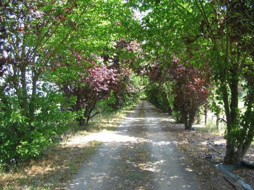 Bed & Breakfast Logis De Semur