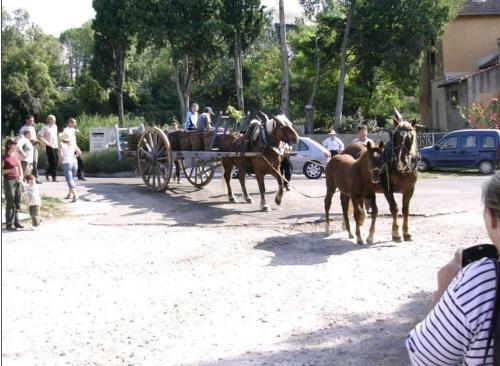 Bed & Breakfast La Migrane
