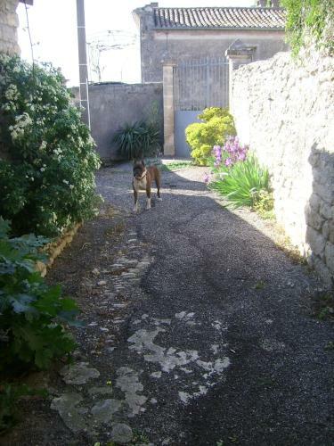 Bed & Breakfast La Migrane