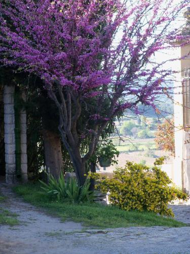 Bed & Breakfast La Migrane