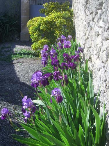 Bed & Breakfast La Migrane