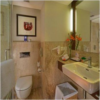 Hotel Fortune Inn Grazia, Noida