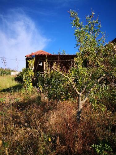Bed & Breakfast Hostal Runa Huasi