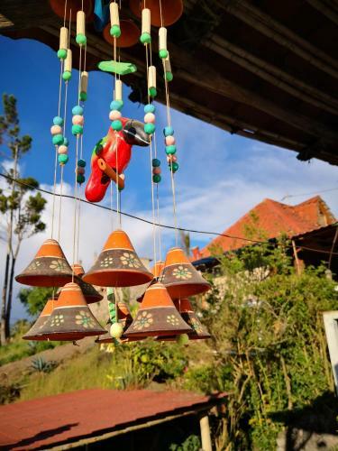 Bed & Breakfast Hostal Runa Huasi