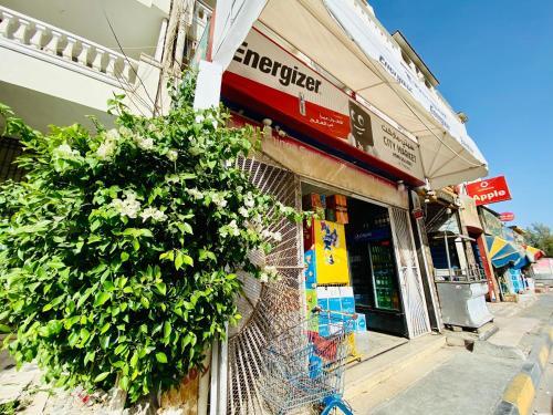 Apartamento Solider Dali