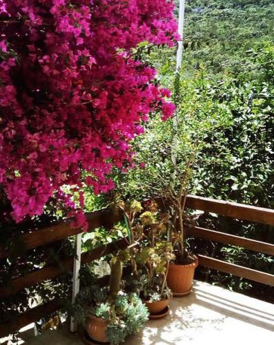 Apartamento Faros Oasis