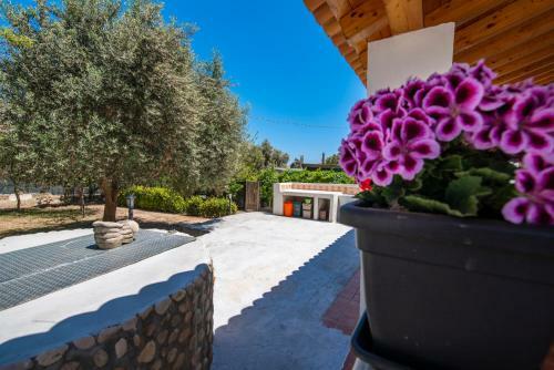 Villa Sas� - Siciliavacanza