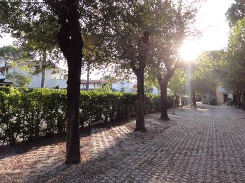 Apartment In Bibione 34326