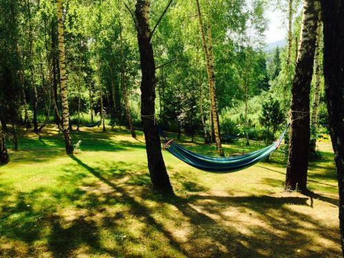 Bed & Breakfast Modryna - Modrzewiowy Dom