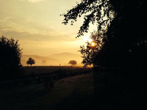 Bed & Breakfast Modryna - Modrzewiowy Dom