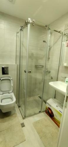 Apartman Davidovi? 31