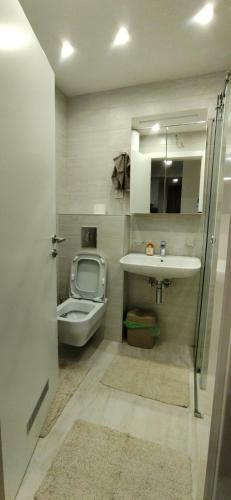 Apartman Davidovi? 31