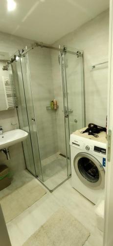 Apartman Davidovi? 31